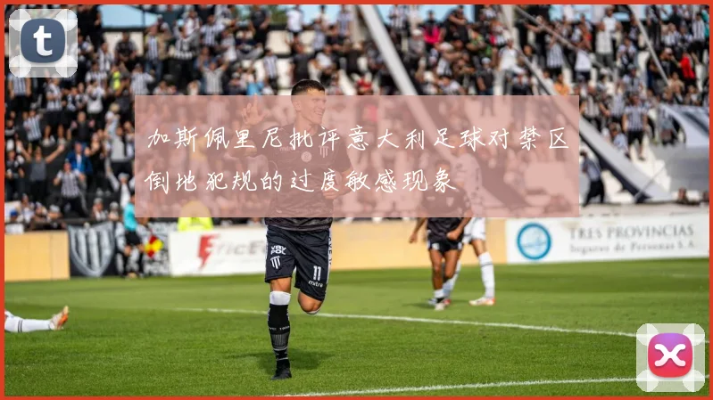 加斯佩里尼批评意大利足球对禁区倒地犯规的过度敏感现象