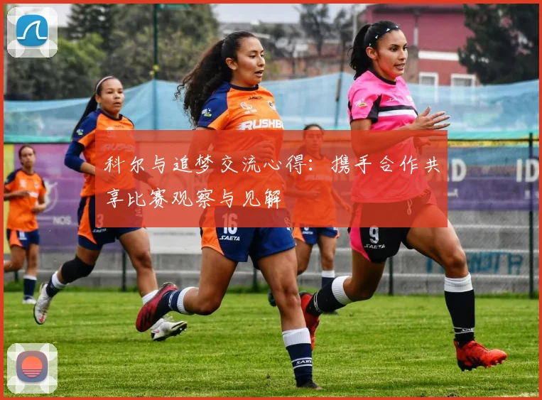 科尔与追梦交流心得：携手合作共享比赛观察与见解