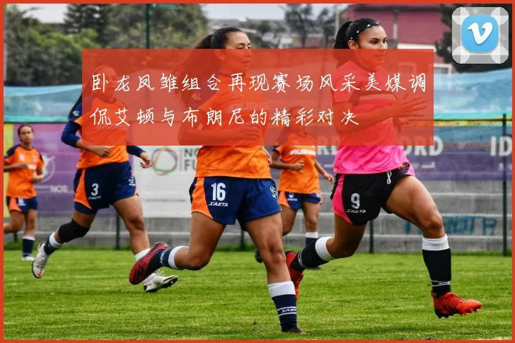 卧龙凤雏组合再现赛场风采美媒调侃艾顿与布朗尼的精彩对决