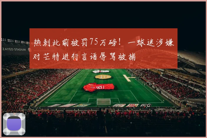 热刺此前被罚75万磅！一球迷涉嫌对芒特进行言语辱骂被捕