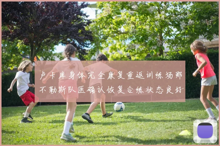 卢卡库身体完全康复重返训练场那不勒斯队医确认恢复合练状态良好